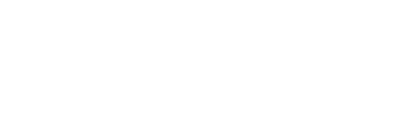 Wild River Technology Logo